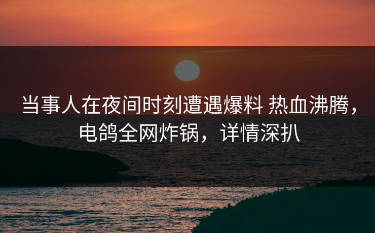 当事人在夜间时刻遭遇爆料 热血沸腾，电鸽全网炸锅，详情深扒