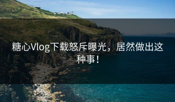 糖心Vlog下载怒斥曝光，居然做出这种事！