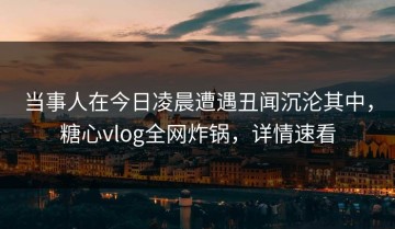 当事人在今日凌晨遭遇丑闻沉沦其中，糖心vlog全网炸锅，详情速看