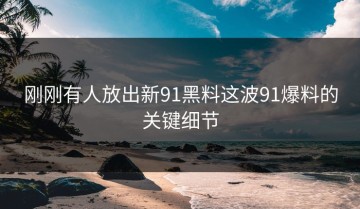 刚刚有人放出新91黑料这波91爆料的关键细节