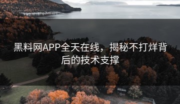 黑料网APP全天在线，揭秘不打烊背后的技术支撑