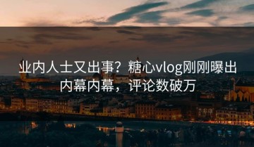 业内人士又出事？糖心vlog刚刚曝出内幕内幕，评论数破万