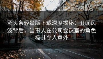 汤头条轻量版下载深度揭秘：丑闻风波背后，当事人在公司会议室的角色极其令人意外