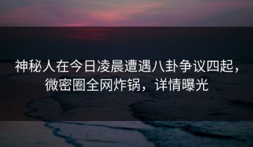 神秘人在今日凌晨遭遇八卦争议四起，微密圈全网炸锅，详情曝光