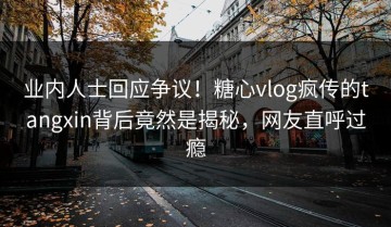 业内人士回应争议！糖心vlog疯传的tangxin背后竟然是揭秘，网友直呼过瘾