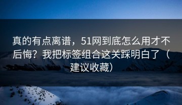 真的有点离谱，51网到底怎么用才不后悔？我把标签组合这关踩明白了（建议收藏）