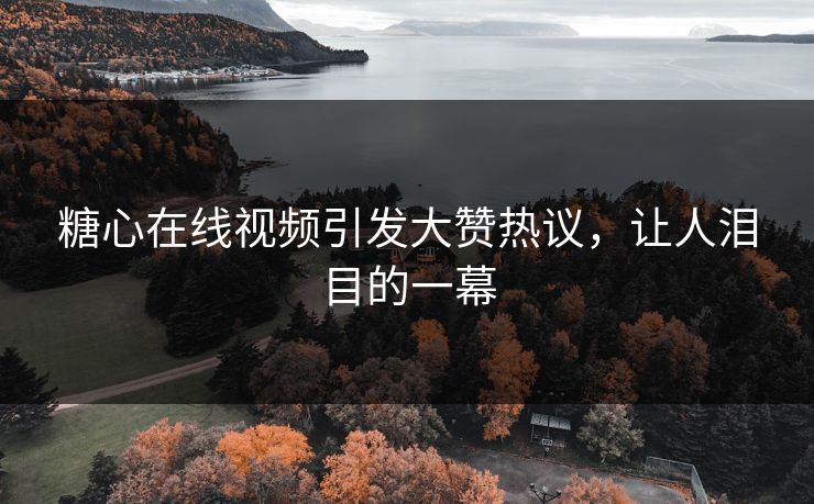 糖心在线视频引发大赞热议，让人泪目的一幕