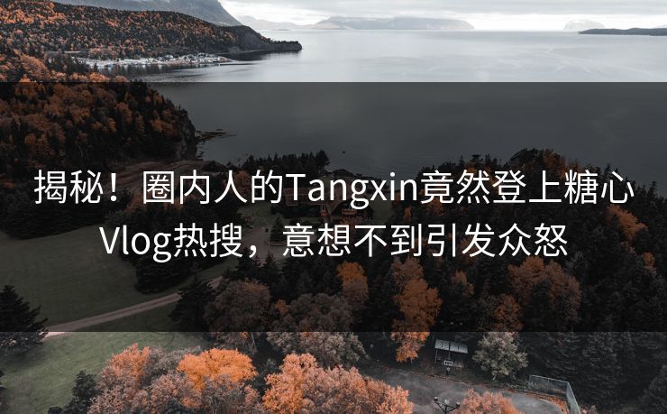 揭秘！圈内人的Tangxin竟然登上糖心Vlog热搜，意想不到引发众怒