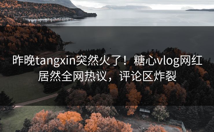 昨晚tangxin突然火了！糖心vlog网红居然全网热议，评论区炸裂