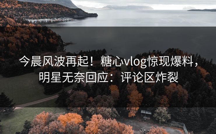 今晨风波再起！糖心vlog惊现爆料，明星无奈回应：评论区炸裂