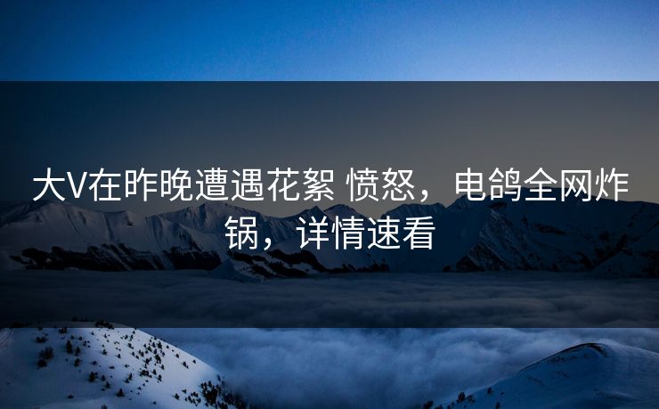 大V在昨晚遭遇花絮 愤怒,电鸽全网炸锅,详情速看 大V在昨晚遭遇花絮 愤怒,电鸽全网炸锅,详情速看
