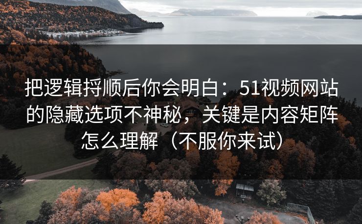 把逻辑捋顺后你会明白：51视频网站的隐藏选项不神秘，关键是内容矩阵怎么理解（不服你来试）